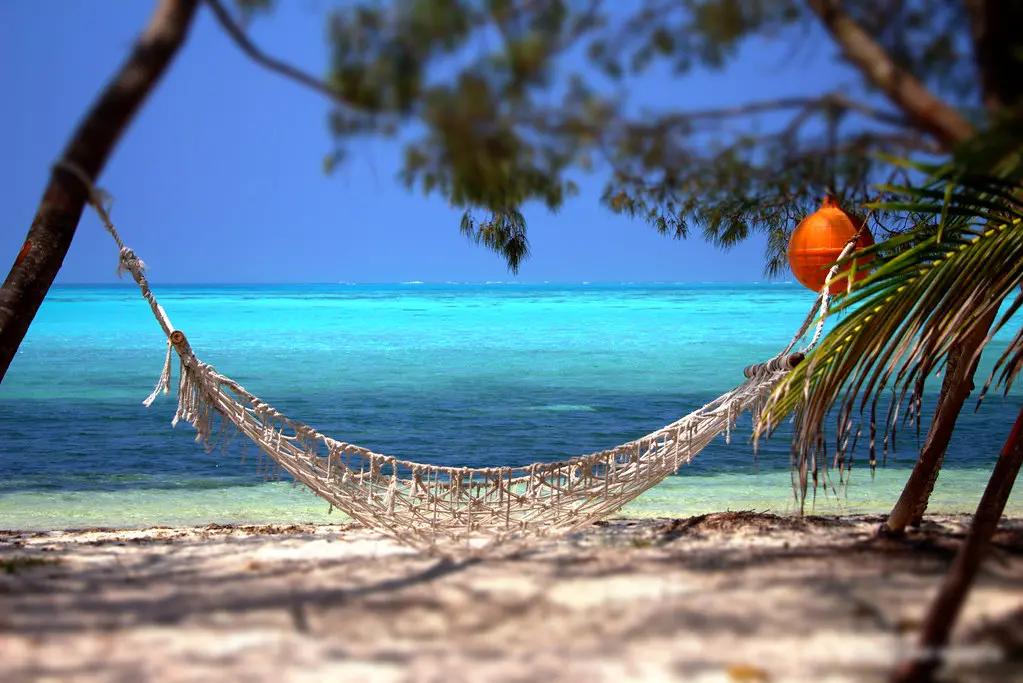 Hammock on tropical beach with turquoise sea view. Image depicting beach.