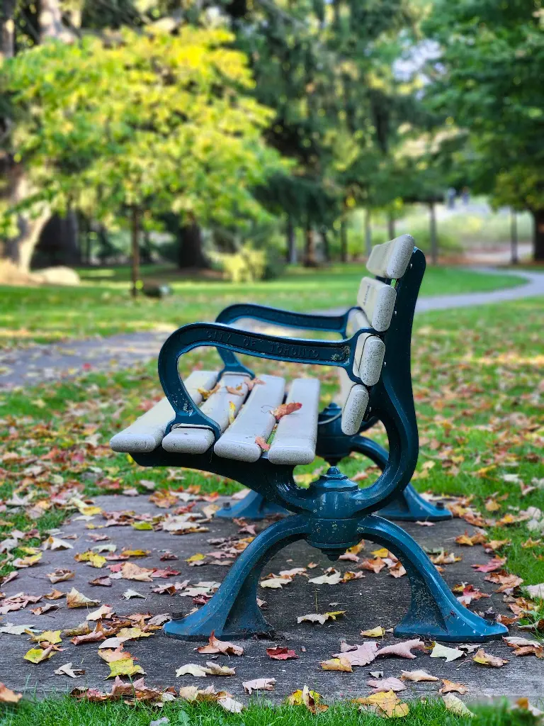 Park bench surrounded by colorful autumn leaves on grass. Image depicting bench.