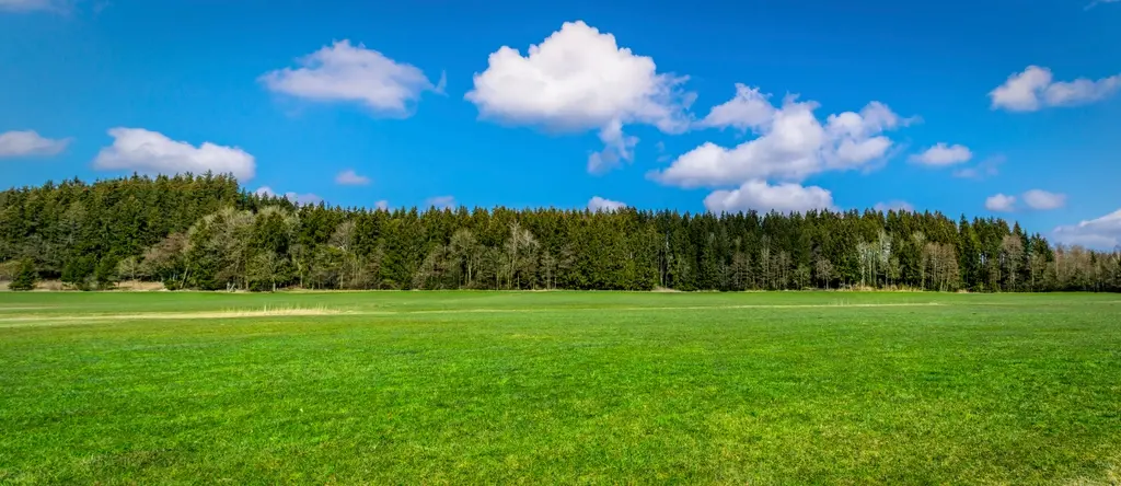 Green field with trees and blue sky background. Image depicting field.