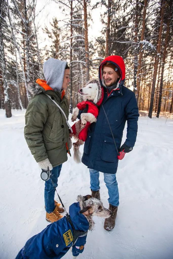 Two people and dogs in jackets enjoying snowy forest walk. Image depicting jacket.