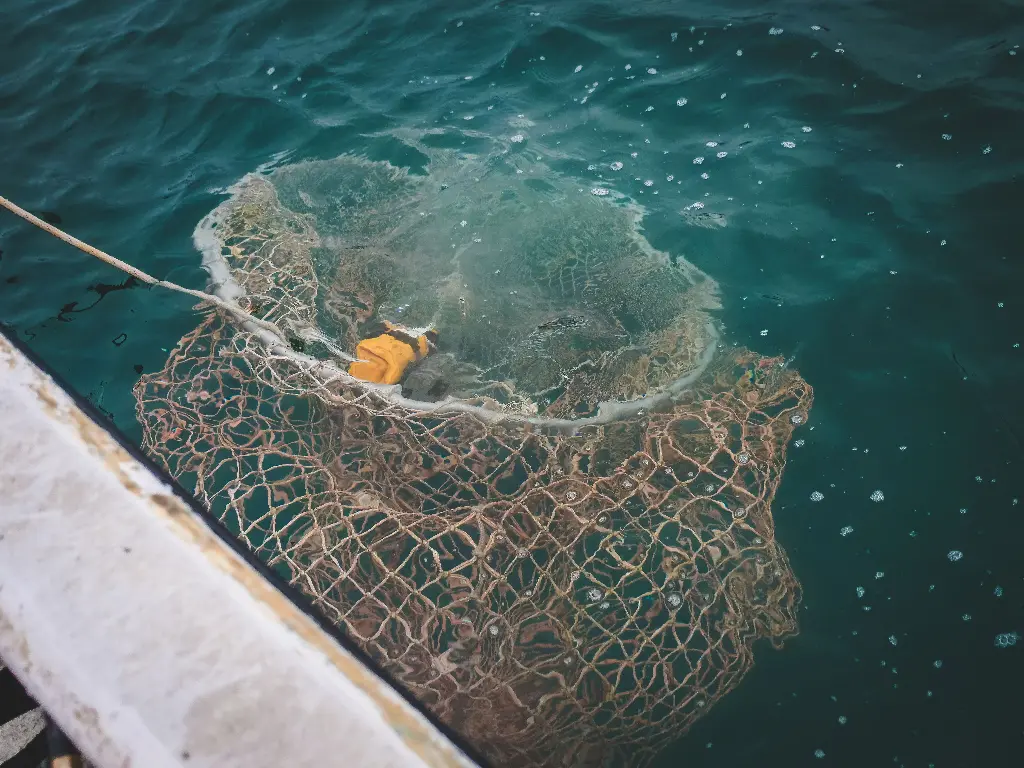 Fishing net catching a large sea turtle in the ocean. Image depicting net.