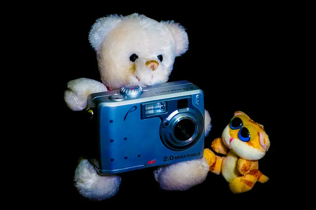 Teddy bear and plush cat with a camera. Image depicting plushie.