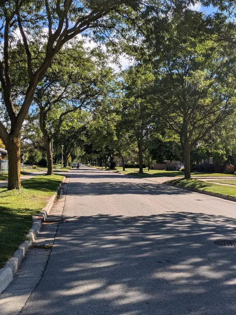 Quiet residential street lined with green trees. Image depicting street.